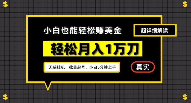 谷歌看广告撸美金2.0，无脑挂机，多号操作，月入1万刀【揭秘】-创客资源阁