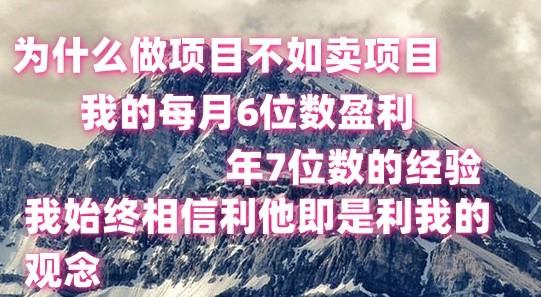 做项目不如卖项目，每月6位数盈利，年7位数经验-创客资源阁