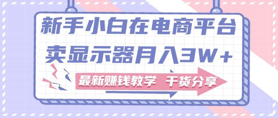 新手小白如何做到在电商平台卖显示器月入3W+，最新赚钱教学干货分享-创客资源阁