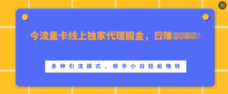 流量卡线上独家代理掘金，日入1k+ ，多种引流模式，新手小白轻松上手【揭秘】-创客资源阁