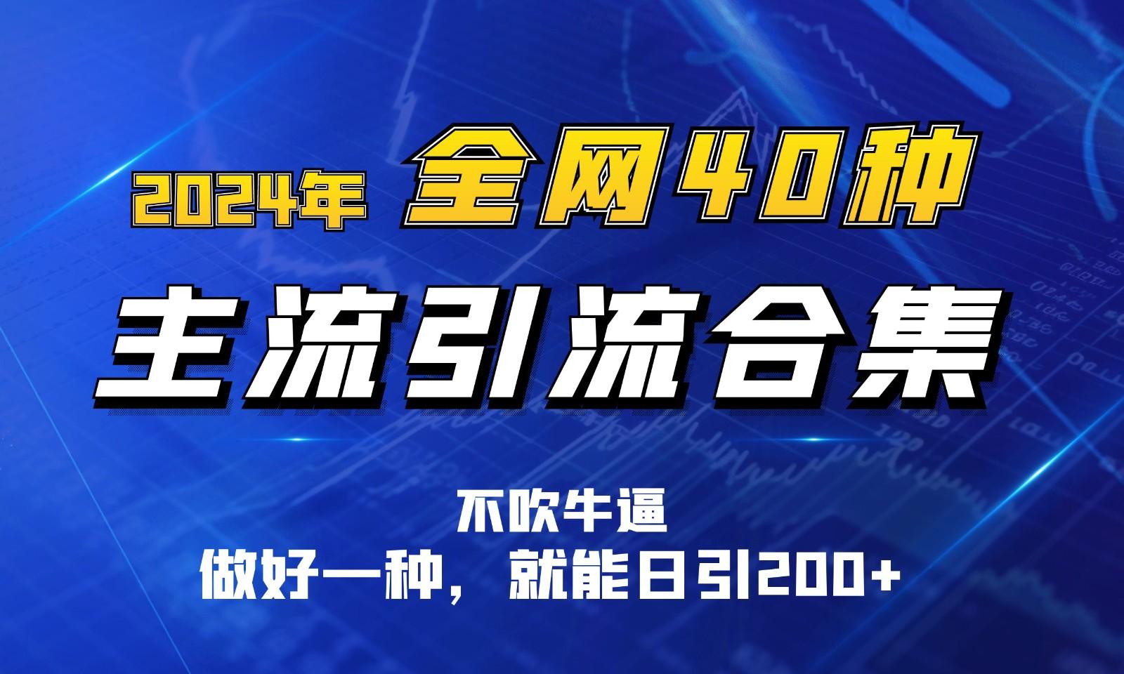 2024年全网40种暴力引流合计，做好一样就能日引100+-创客资源阁