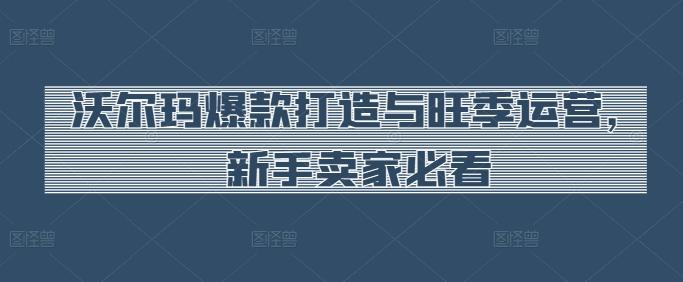 沃尔玛爆款打造与旺季运营，新手卖家必看-创客资源阁