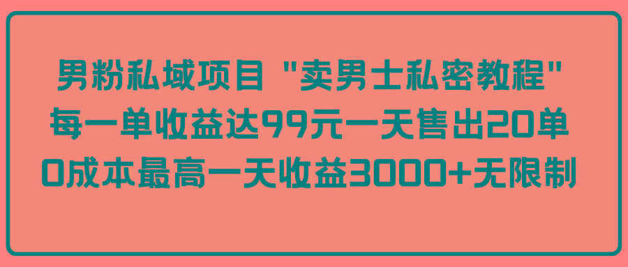 (9730期)男粉私域项目 “卖男士私密教程” 每一单收益达99元一天售出20单-创客资源阁