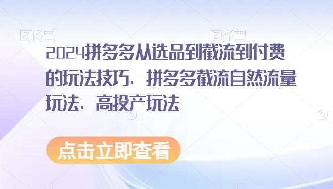 2024拼多多从选品到截流到付费的玩法技巧，拼多多截流自然流量玩法，高投产玩法-创客资源阁