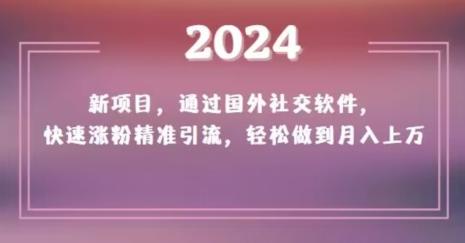 2024新项目，通过国外社交软件，快速涨粉精准引流，轻松做到月入上万【揭秘】-创客资源阁