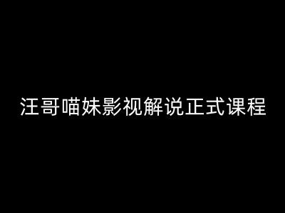 汪哥影视解说正式课程：剪映/PR教学/视解说剪辑5大黄金法则/全流程剪辑7把利器等等-创客资源阁