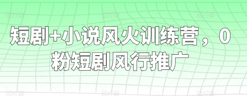 短剧+小说风火训练营，0粉短剧风行推广-创客资源阁