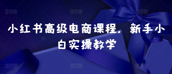 小红书高级电商课程，新手小白实操教学-创客资源阁