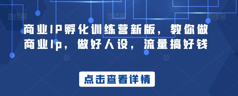 商业IP孵化训练营新版，教你做商业Ip，做好人设，流量搞好钱-创客资源阁