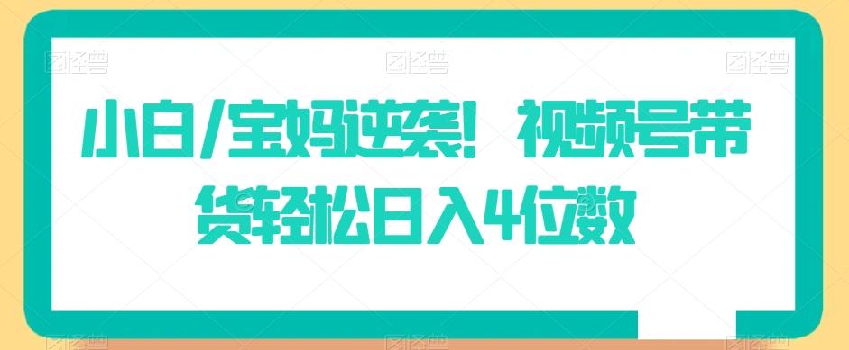 小白/宝妈逆袭！视频号带货轻松日入4位数【揭秘】-创客资源阁