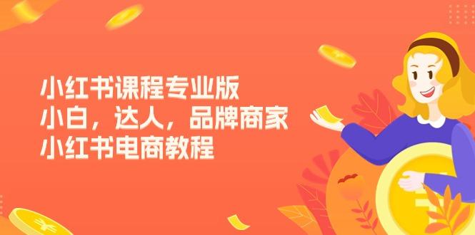 小红书课程专业版，小白，达人，品牌商家，小红书电商教程(15节-创客资源阁