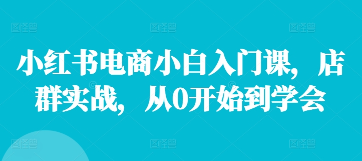 小红书电商小白入门课，店群实战，从0开始到学会-创客资源阁
