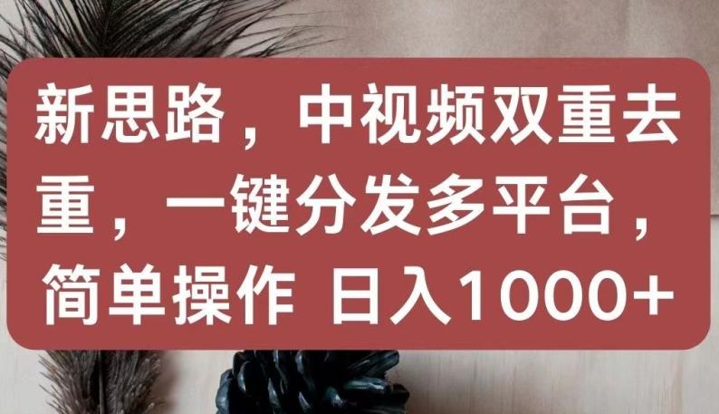 新思路，中视频双重去重，一键分发多平台，简单操作，日入1000+【揭秘】-创客资源阁