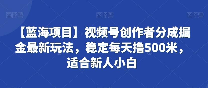 【蓝海项目】视频号创作者分成掘金最新玩法，稳定每天撸500米，适合新人小白【揭秘】-创客资源阁