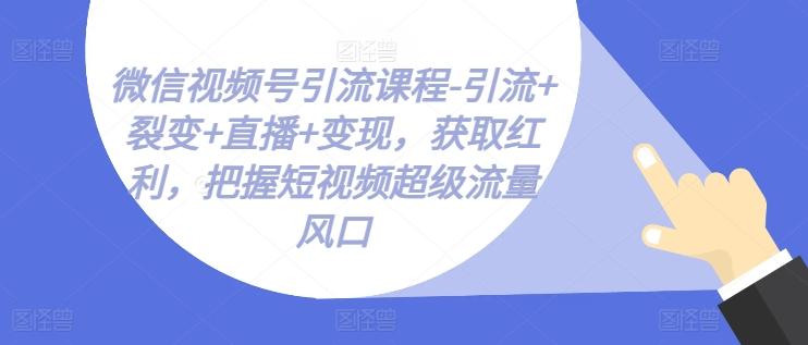 微信视频号引流课程-引流+裂变+直播+变现，获取红利，把握短视频超级流量风口-创客资源阁