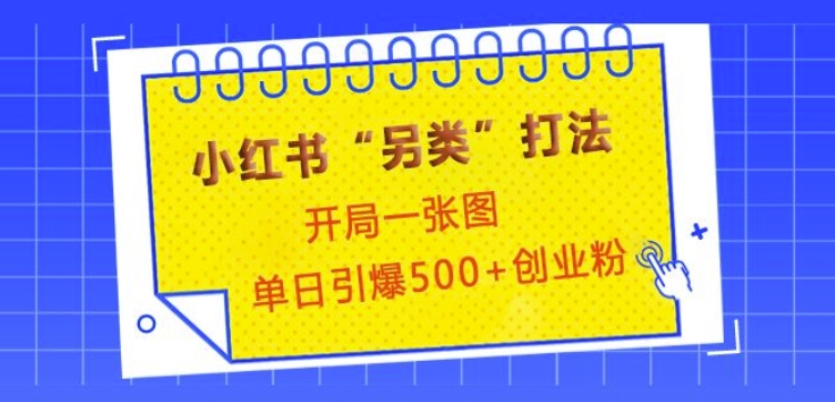 小红书“另类”打法，开局一张图，单日引爆500+精准创业粉【揭秘】-创客资源阁