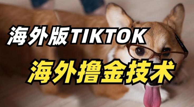 抖音海外版tiktok撸金技术，这个风口行业，赚钱真的不难【揭秘】-创客资源阁