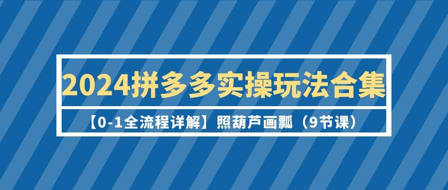 (9559期)2024拼多多实操玩法合集【0-1全流程详解】照葫芦画瓢(9节课)-创客资源阁