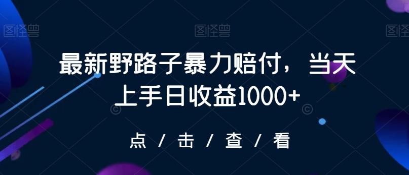 最新野路子暴力赔付，当天上手日收益1000+【仅揭秘】-创客资源阁