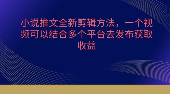 小说推文全新剪辑方法，一个视频可以结合多个平台去发布获取【揭秘】-创客资源阁