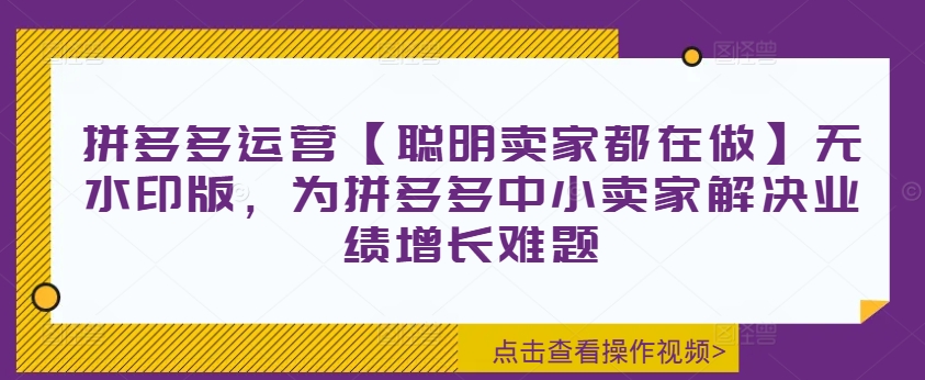 拼多多运营【聪明卖家都在做】无水印版，为拼多多中小卖家解决业绩增长难题-创客资源阁