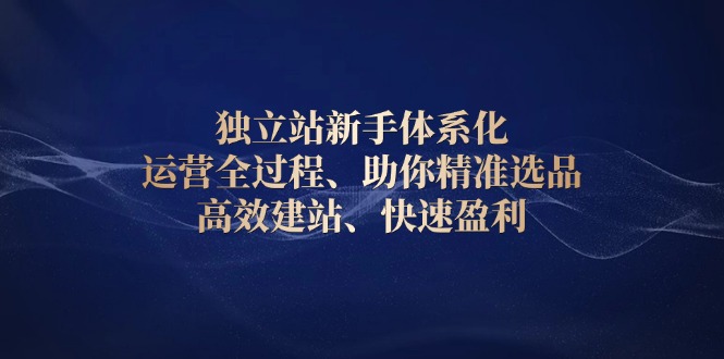 独立站新手体系化 运营全过程，助你精准选品、高效建站、快速盈利-创客资源阁