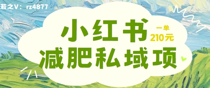 小红书减肥粉，私域变现项目，一单就达210元，小白也能轻松上手【揭秘】-创客资源阁