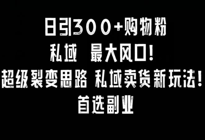 日引300+购物粉，超级裂变思路，私域卖货新玩法，小红书首选副业【揭秘】-创客资源阁