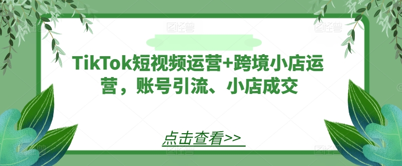 TikTok短视频运营+跨境小店运营，账号引流、小店成交-创客资源阁