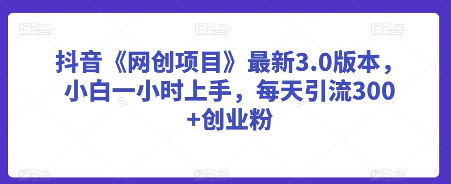 抖音《网创项目》最新3.0版本，小白一小时上手，每天引流300+创业粉【揭秘】-创客资源阁