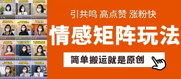 简单搬运，情感矩阵玩法，涨粉速度快，可带货，可起号【揭秘】-创客资源阁