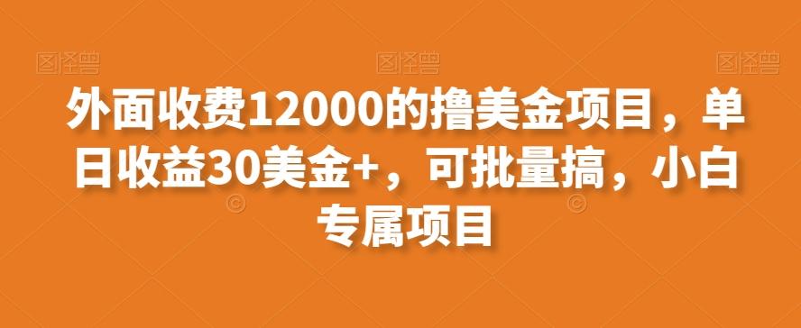 外面收费12000的撸美金项目，单日收益30美金+，可批量搞，小白专属项目-创客资源阁