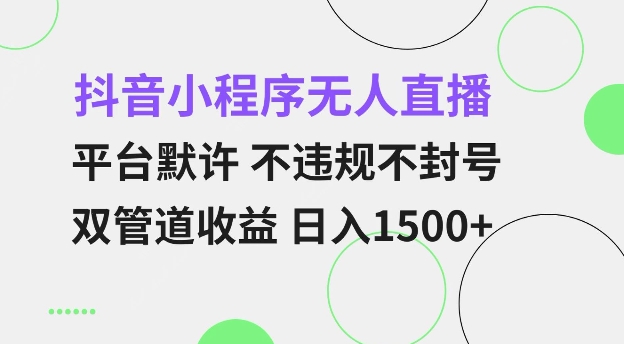 抖音小程序无人直播 平台默许 不违规不封号 双管道收益 日入多张 小白也能轻松操作【仅揭秘】-创客资源阁
