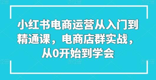 小红书电商运营从入门到精通课，电商店群实战，从0开始到学会-创客资源阁