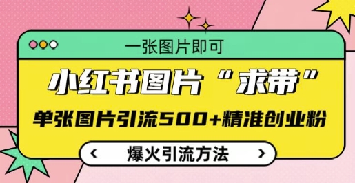 小红书图片‘求带’爆火引流法，单张图片引流500+精准创业粉【揭秘】-创客资源阁