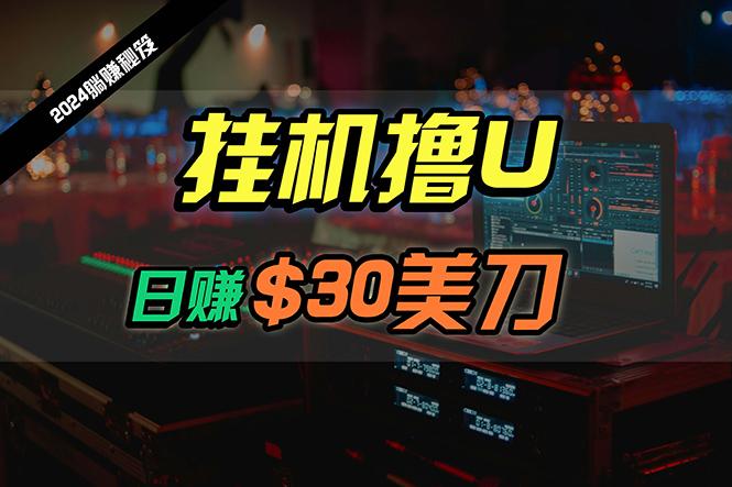 (10013期)日赚30美刀，2024最新海外挂机撸U内部项目，全程无人值守，可批量放大-创客资源阁