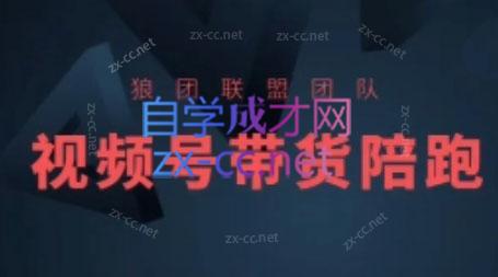 狼团联盟·2024视频号带货-创客资源阁