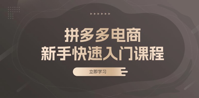 拼多多电商新手快速入门课程：涵盖基础、实战与选款，助力小白轻松上手-创客资源阁