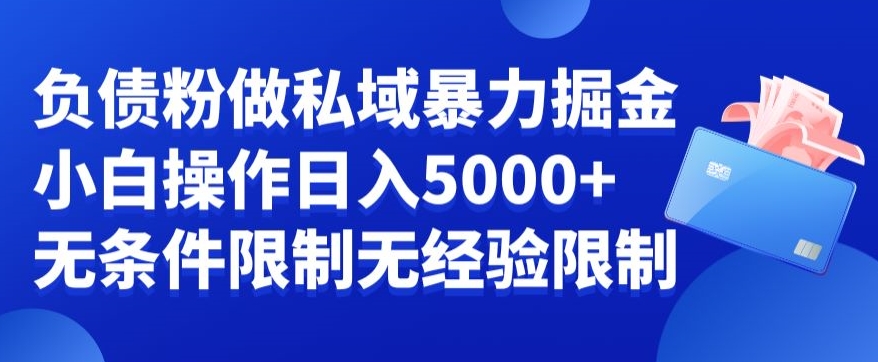 负债粉私域暴力掘金，小白操作入5000，无经验限制，无条件限制【揭秘】-创客资源阁