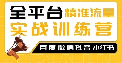 全平台精准流量实战训练营，百度微信抖音小红书SEO引流教程-创客资源阁