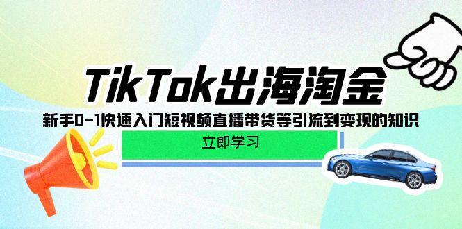 (10035期)TikTok-出海淘金，新手0-1快速入门短视频直播带货等引流到变现的知识-创客资源阁