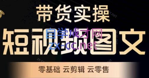 鑫哥·2024零基础短视频带货实操营-创客资源阁