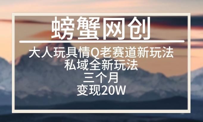 大人玩具情Q用品赛道私域全新玩法，三个月变现20W，老项目新思路【揭秘】-创客资源阁